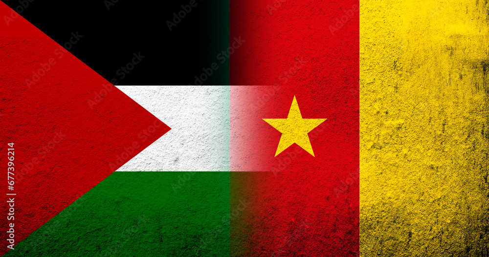 Flag of Palestine and The Republic of Cameroon National flag. Grunge background