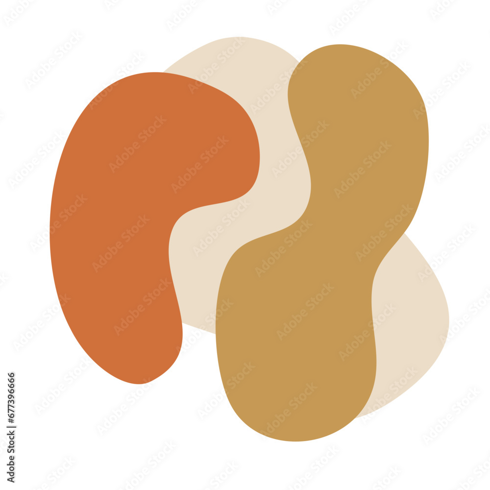 Organic Shape Scandinavian Vector design Organic Shape Scandinavian Vector design