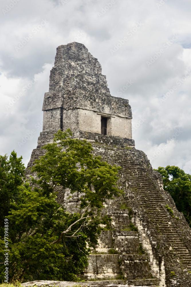 Mayan pyramid in the jungle at Tikal ruins in Guatamala