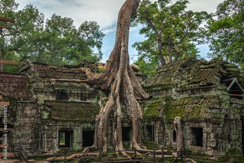 Fototapeta premium Ta Prohm temple Angkor Wat