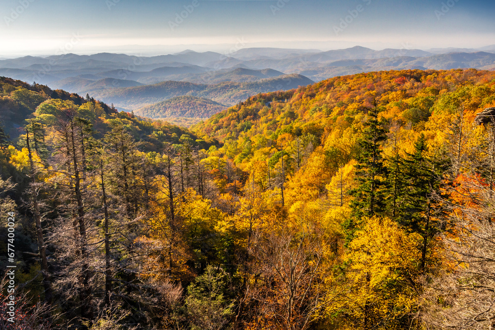 fall colors in the forest of the Blue ridge mountains
