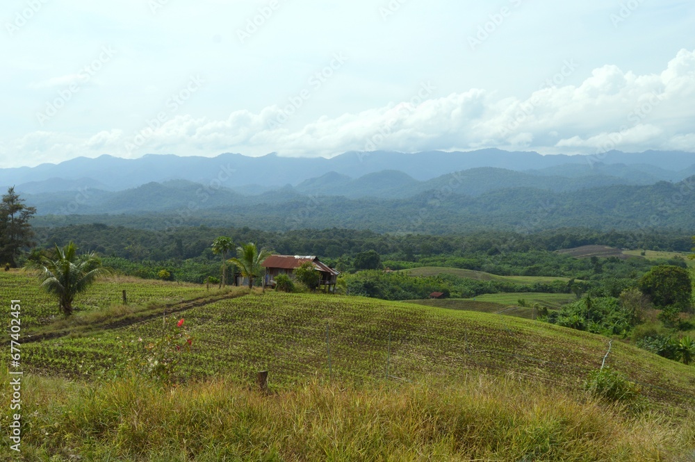 landscape in the mountains landscape in the mountains