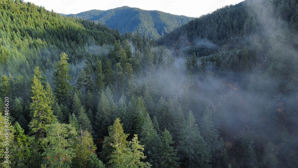 fog in the mountains fog in the mountains