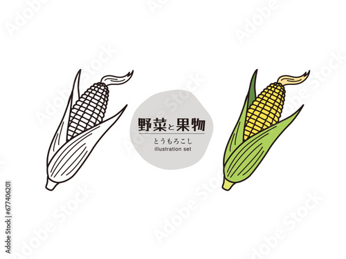 野菜・果物イラスト(とうもろこし)