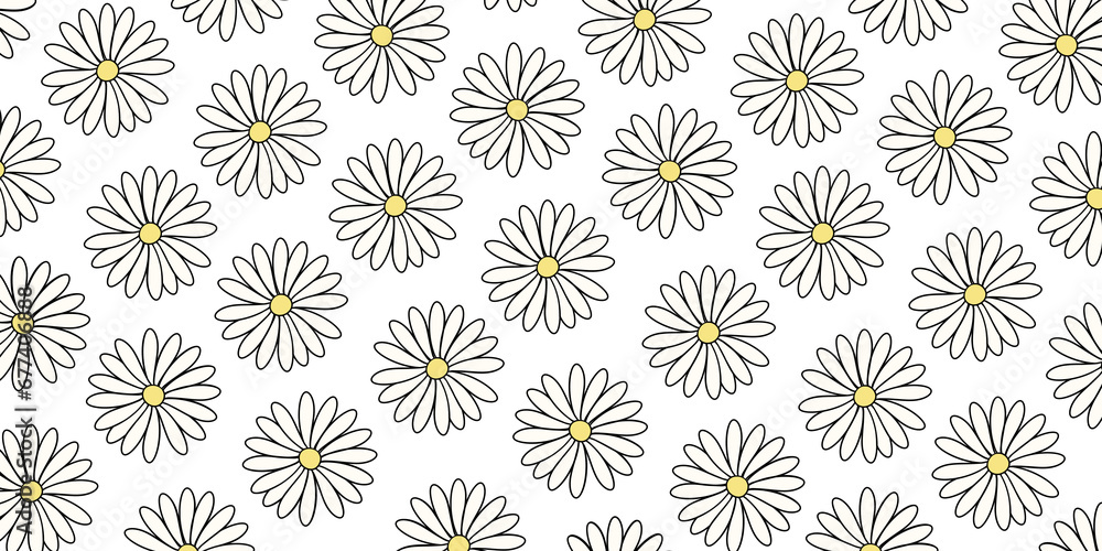 Margaritas de color blanco sin fondo Margaritas de color blanco sin fondo