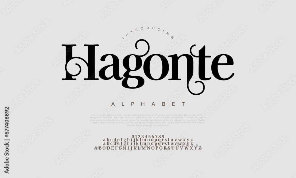 Hagonte premium luxury elegant alphabet letters and numbers. Elegant wedding typography classic serif font decorative vintage retro. Creative vector illustration