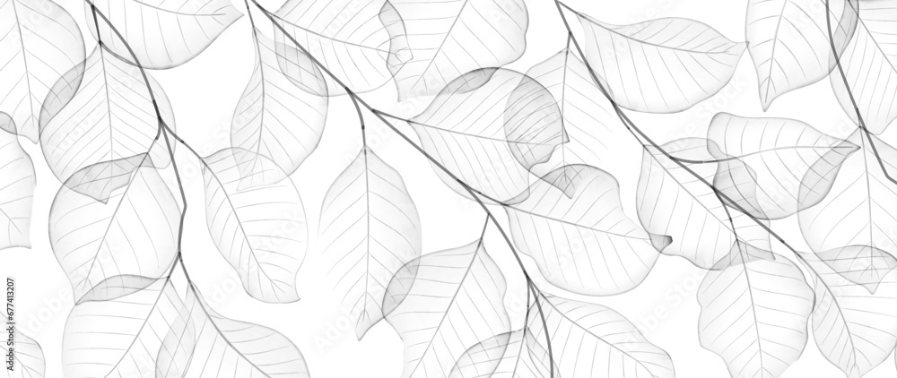 Abstract black and white background with transparent leaves in watercolor style.