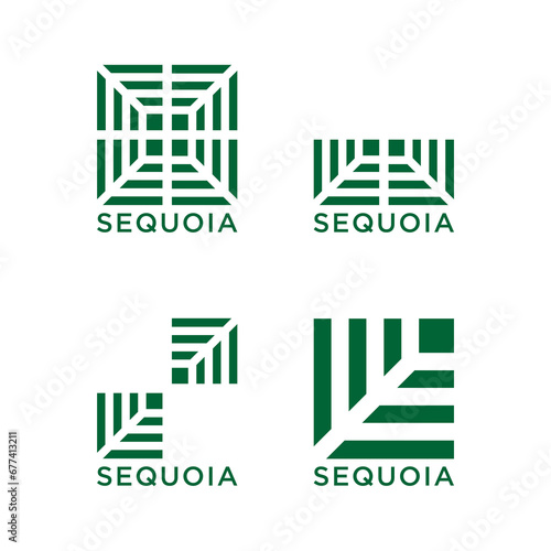 modern abstract vector logo design symbol logo icon sequoia