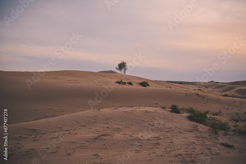 Sunset over the sand dunes in the Gobi Desert in Inner Mongolia, China