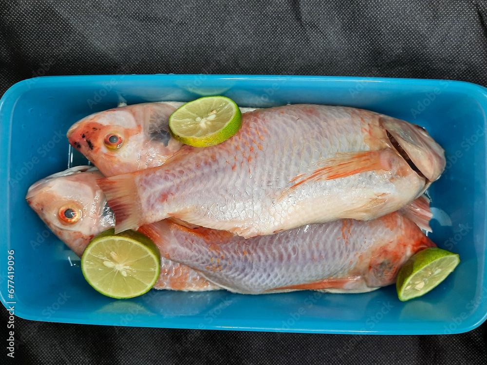 red snapper fish that has been cleaned and lime in the blue box, ready to store or use for cooking red snapper fish that has been cleaned and lime in the blue box, ready to store or use for cooking