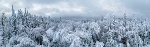 Elevated perspective of a large forest of spruce and deciduous trees that are covered in a thick layer of snow and ice.  Many of the trees are bent over from the weight of the snow.
 photo