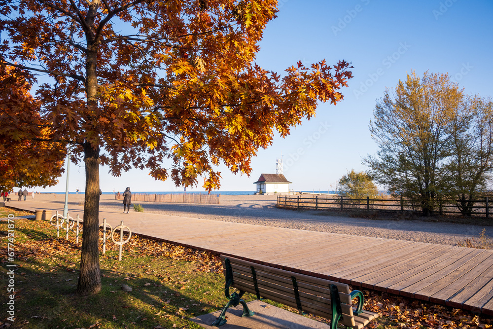 fall color: bright sunlight on bright orange tree foilage with park benches beside a wooden board walk with kew beach and lake ontario in the background