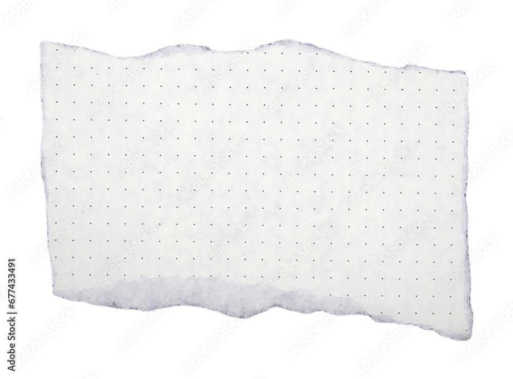 Obraz premium Pieces of torn paper on transparent background png file