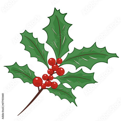 holly, leaf, nature, illustration, plant, design, vector, winter, isolated, holiday, decoration, branch, tree, background, green, art, icon, vintage, xmas, berry, floral, graphic, element, drawing