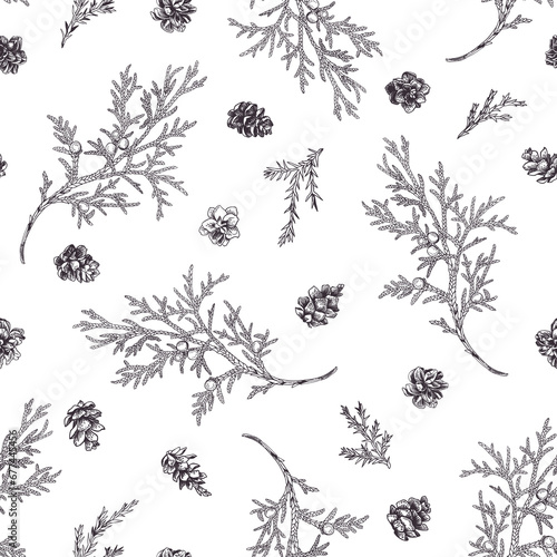 Seamless pattern with juniper branches and larch cones. Winter illustration in an engraving style. Black. Outline, no fill.