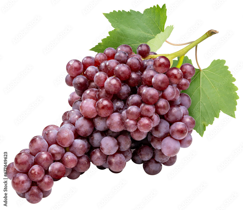 Obraz premium Red champagne grapes isolated on white background, Bunch of fresh red juicy Champagne Grapes isolated on white PNG File.