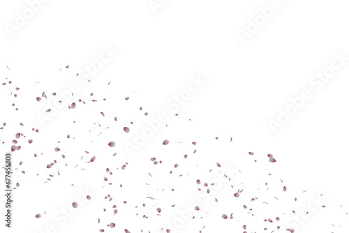 桜吹雪：桜の花びらイラスト © hiro