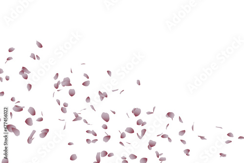 桜吹雪：桜の花びらイラスト photo