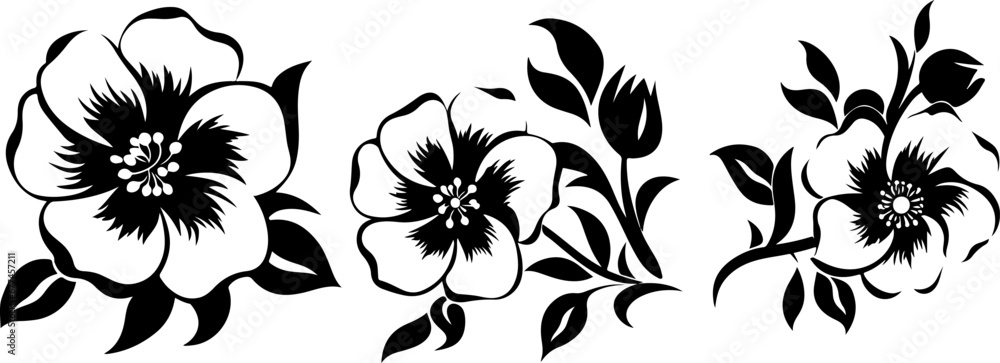 Vector black silhouettes of flowers isolated background.