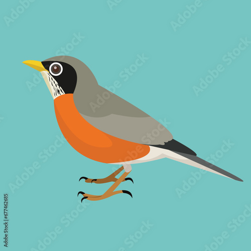 Flat design vector of American Robin perched on the ground