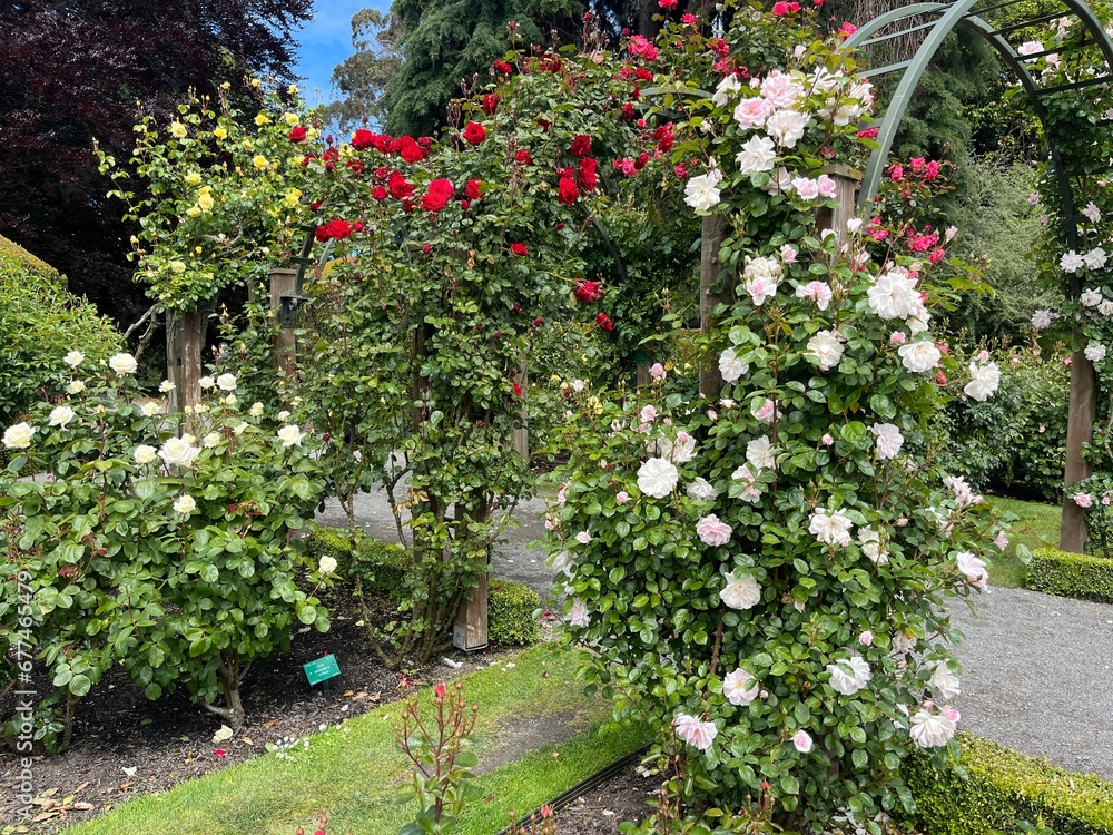 Christchurch Botanic Gardens in New Zealand