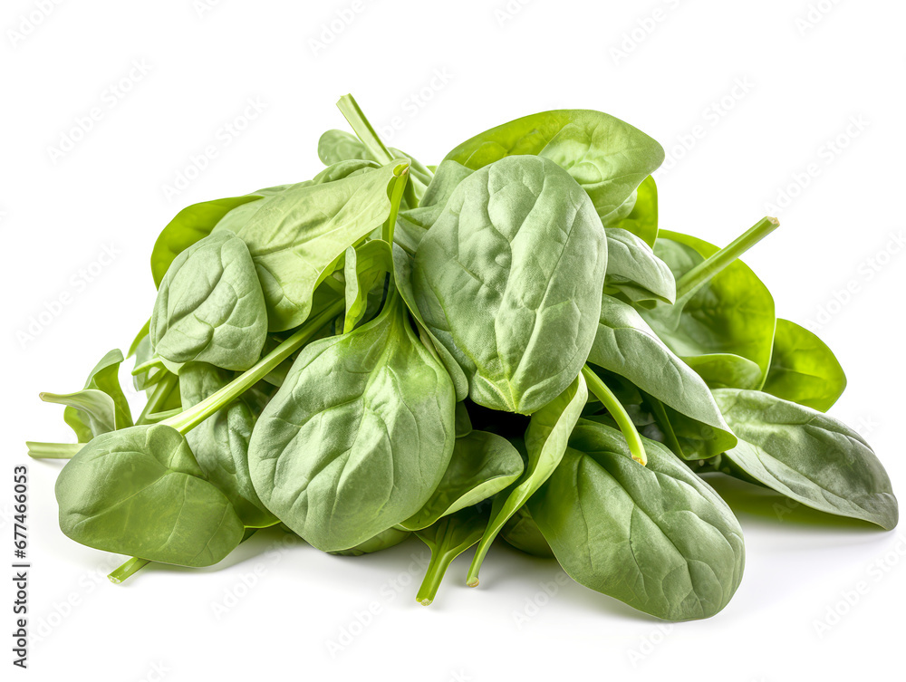 Baby spinach leaves isolated on white background cutout. Baby spinach leaves isolated on white background cutout.