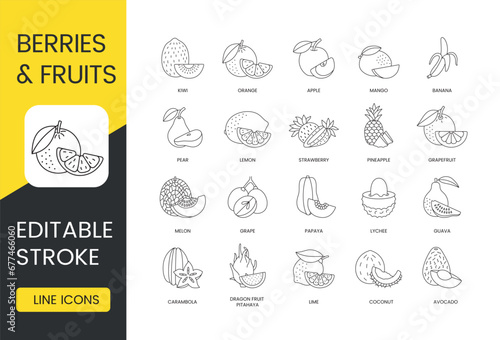 Fruits and berries whole and sliced, set of line icons in vector, editable stroke. Avocado and coconut, lime and dragon fruit, pitahaya and carambola, guava and lychee, papaya and grape, melon