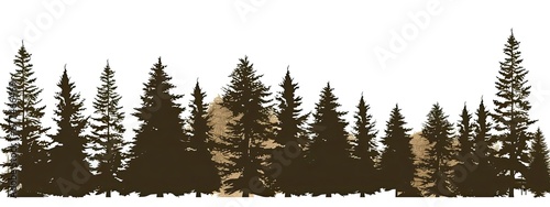 Pine Trees Silhouettes.Evergreen coniferous forest soil