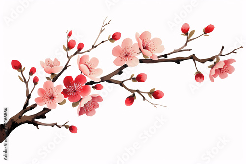 Winter ink plum blossom illustration, a plum blossom on a white background illustration 