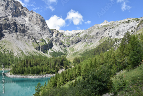 Forested Cove in the Swiss Alps on Lake Tseuzier