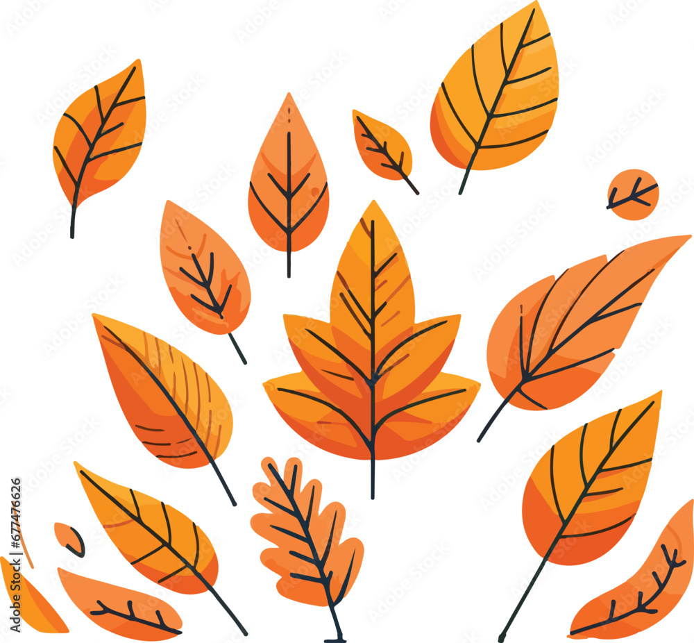 autumn leaves vector set autumn leaves vector set