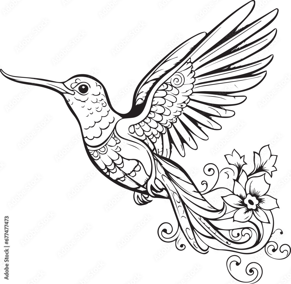 Kingfisher bird flying on the sky Line art coloring book page design Kingfisher bird flying on the sky Line art coloring book page design
