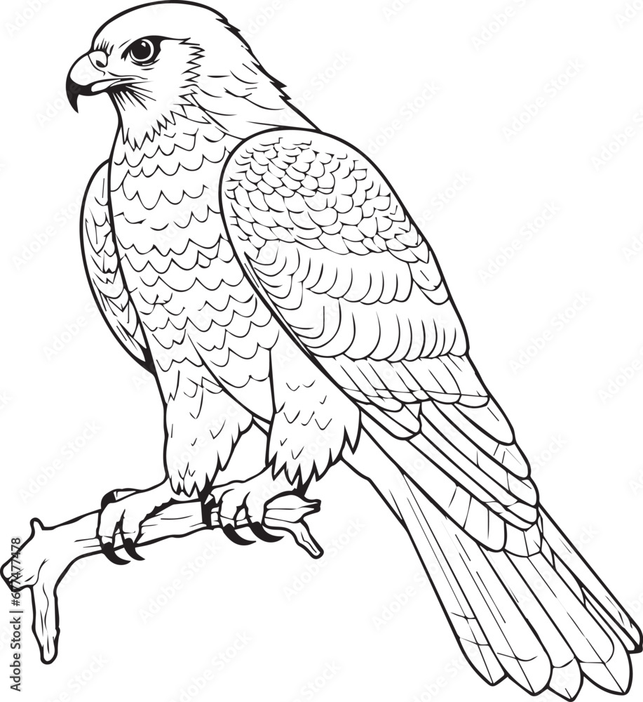 Fototapeta premium Eagle on a Branch Line art coloring book page design