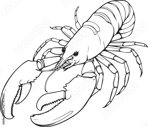 Shrimp coloring book page design