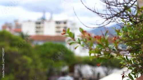 Catedral vieja de Cuenca Ecuador