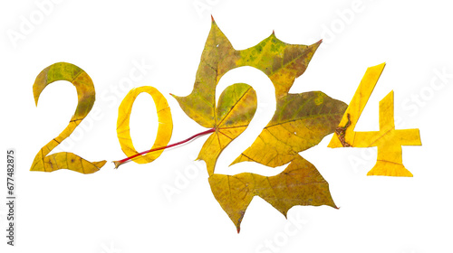 2024 numbers carved from yellow maple leaves photo