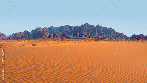 Panoramic view of orange sand dune desert with clear blue sky at Namib desert - Namibia
