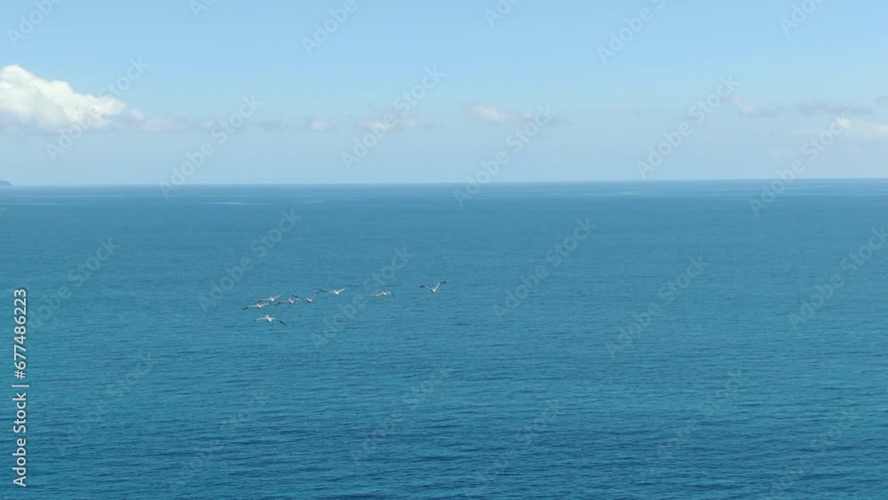 Costa Rica drone view following birds over the ocean on a sunny day on the pacific ocean in the caribbean Costa Rica drone view following birds over the ocean on a sunny day on the pacific ocean in the caribbean