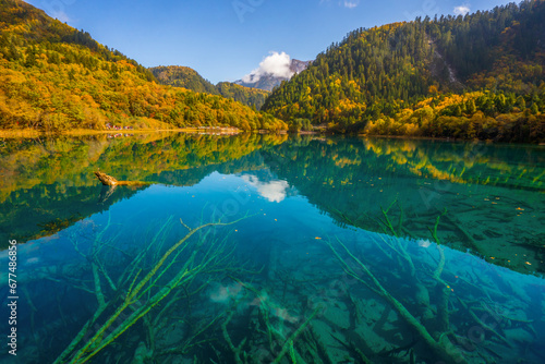 Jiuzhaigou and Five Flower Lake , Unesco national park during autumn in Ngawa Tibetan and Qiang in Sichuan , China : 17 October 2023