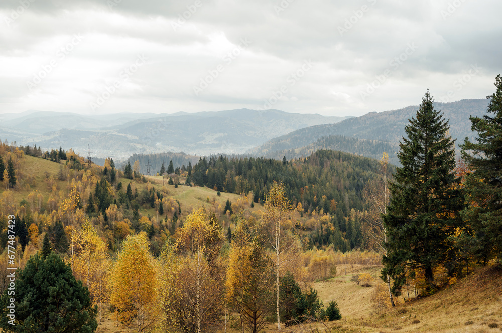 Golden autumn in the Carpathians. Mining arrays combined with trees with yellow leaves. Beautiful clouds and sun