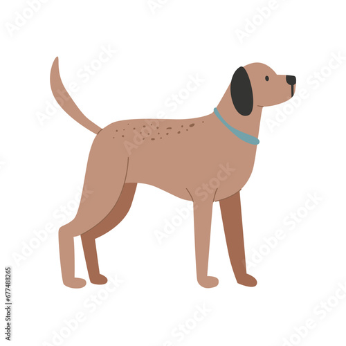 flat illustration of dog animals