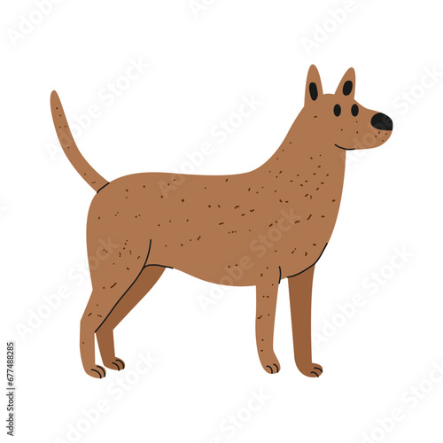 flat illustration of dog animals