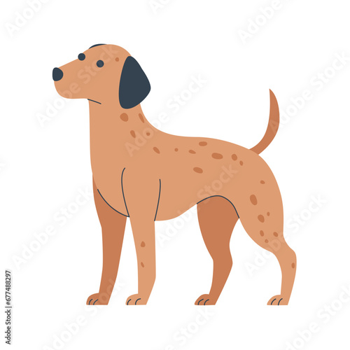 flat illustration of dog animals