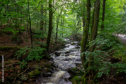 Small waterfall in deep forest covered with green trees. Amazing landscape with a small waterfall in a forest with stone 