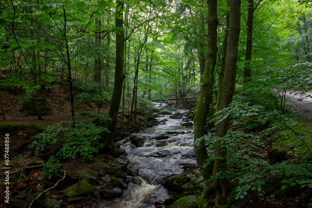 Small waterfall in deep forest covered with green trees. Amazing landscape with a small waterfall in a forest with stone 