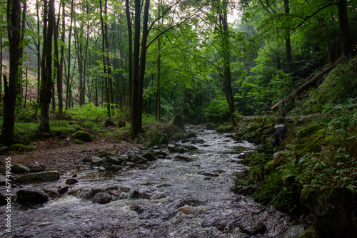 A beautiful landscape of river flowing through a forest.  Natural scenery of forest stream. Amazing landscape with a small river.