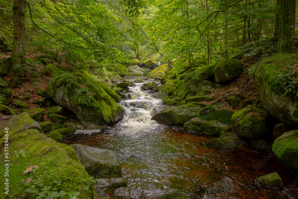 A beautiful landscape of river flowing through a forest. Natural scenery of forest stream. Amazing landscape with a small river. A beautiful landscape of river flowing through a forest. Natural scenery of forest stream. Amazing landscape with a small river.