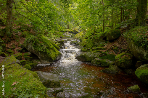 A beautiful landscape of river flowing through a forest. Natural scenery of forest stream. Amazing landscape with a small river.
