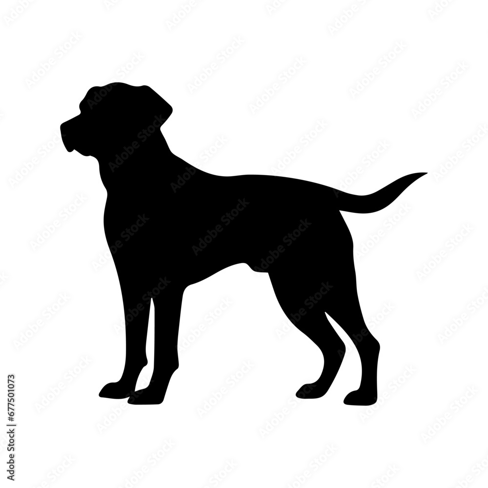 Standing Labrador Retriever vector silhouette