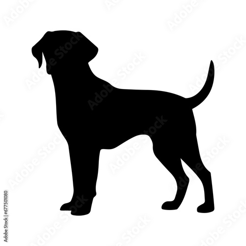 Standing Labrador Retriever vector silhouette